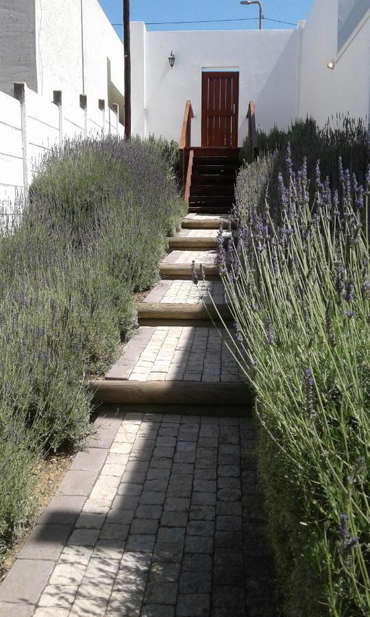 Lavandula Manor Self-Catering Mossel Bay Dış mekan fotoğraf
